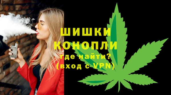 прущие грибы Касимов