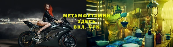 прущие грибы Касимов