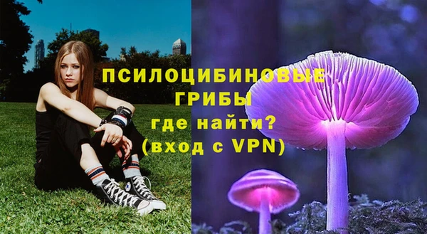 прущие грибы Касимов