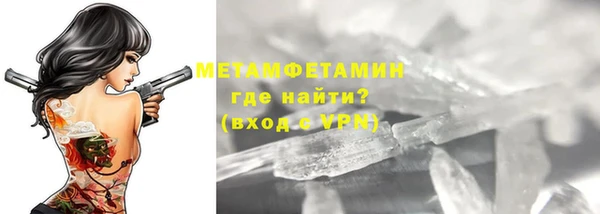 прущие грибы Касимов