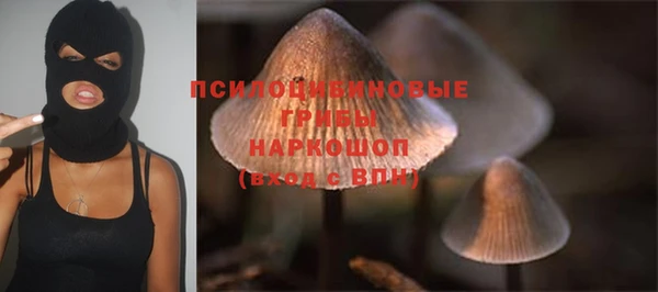 таблы Карпинск