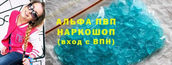 прущие грибы Касимов