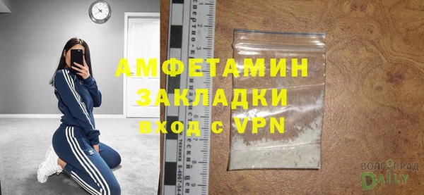 прущие грибы Касимов