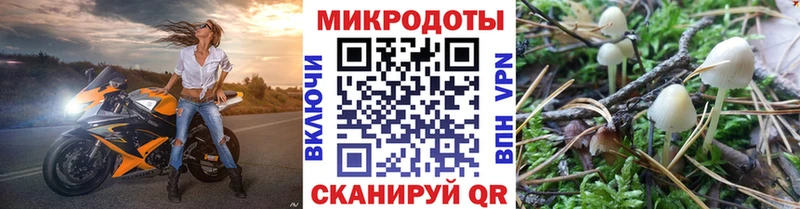 Галлюциногенные грибы ЛСД  Купить  Новоалександровск 